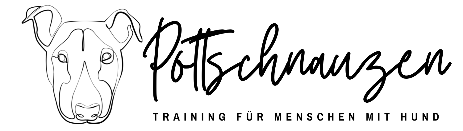 Pottschnauzen - Training für Menschen mit Hund - Hundeschule Dorsten