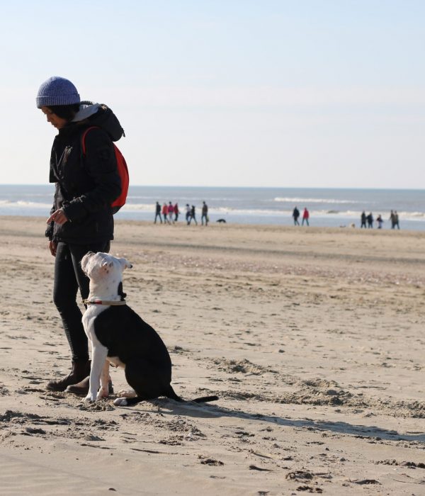 Pottschnauzen Hundetraining Pottschnauzen Hundetraining